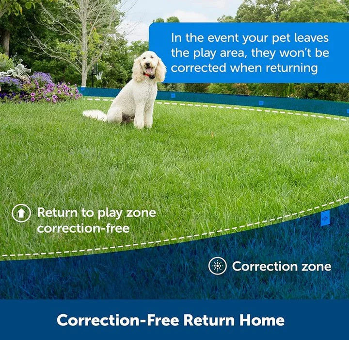 Southern Chic Wireless Dog Fence Collar System