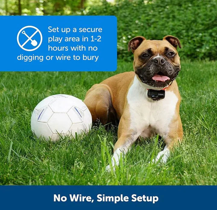 Southern Chic Wireless Dog Fence Collar System