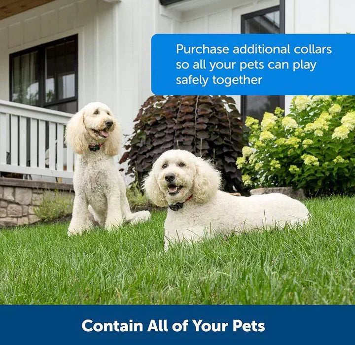 Southern Chic Wireless Dog Fence Collar System