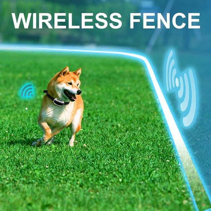 Southern Chic Wireless Dog Fence Collar System