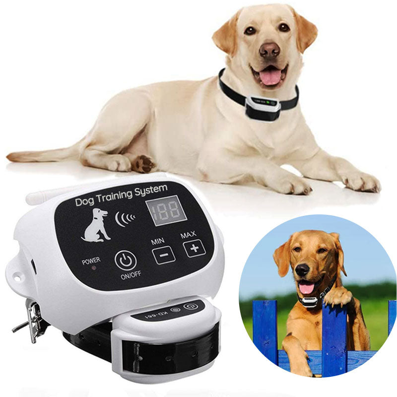 Southern Chic Wireless Dog Fence With Collar