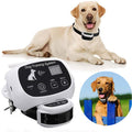 Southern Chic Wireless Dog Fence With Collar