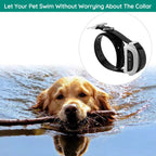 Southern Chic Wireless Dog Fence With Collar