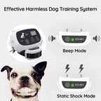Southern Chic Wireless Dog Fence With Collar