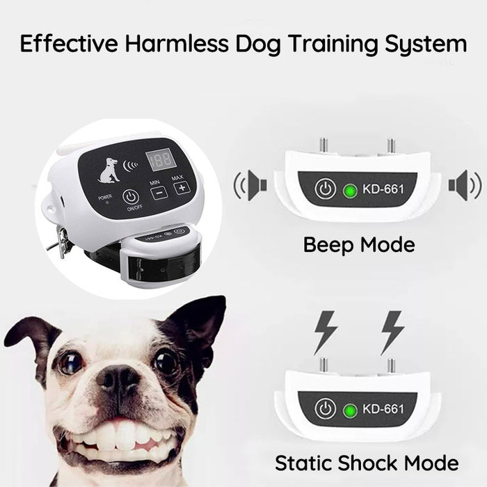 Southern Chic Wireless Dog Fence With Collar