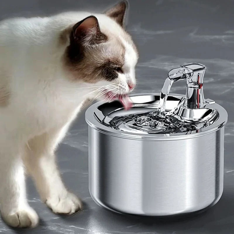 Southern Chic Stainless Steel Cat Water Fountain with Filter and Sensor
