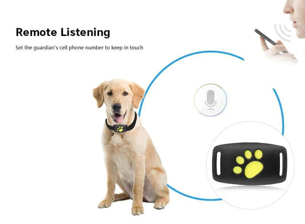 Southern Chic 🐾 Dog GPS Tracker Locator Device – Real-Time Pet Tracking with No Monthly Fees