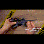 Southern Chic Remote Control Dinosaur Toy – Realistic RC Velociraptor T-Rex with Sounds, Lights & Movements