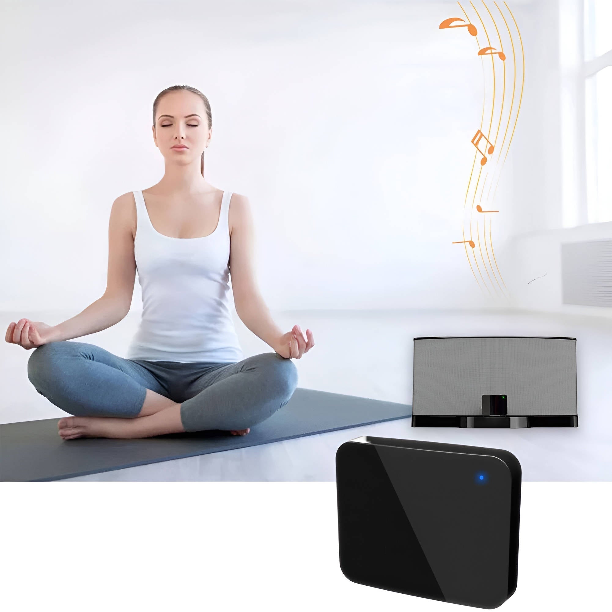 Sweet Southern Chic Wireless Audio Transmitter And Receiver System